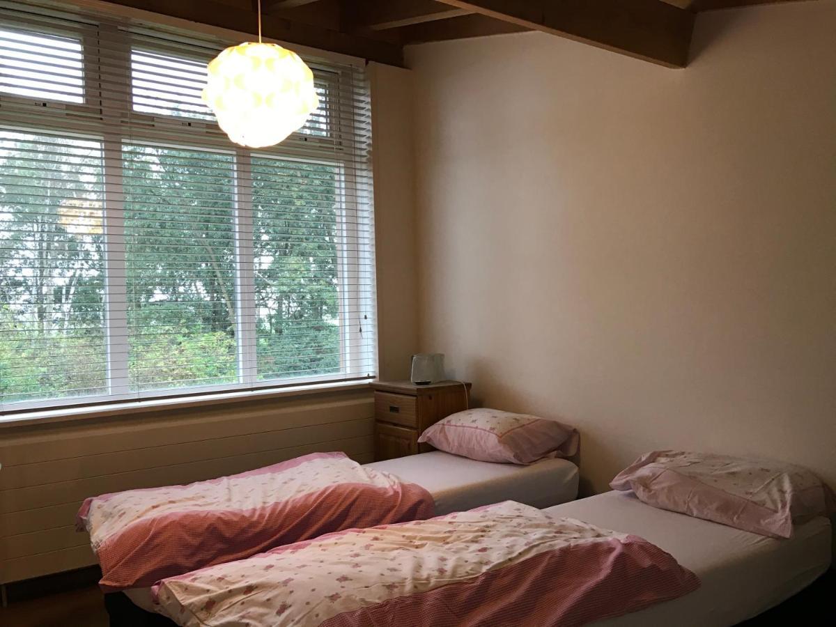 Het Atelier, Ruime Vrijstaande Vakantiewoning 200M2 Voor Maximaal 8 Personen Leende Exterior photo